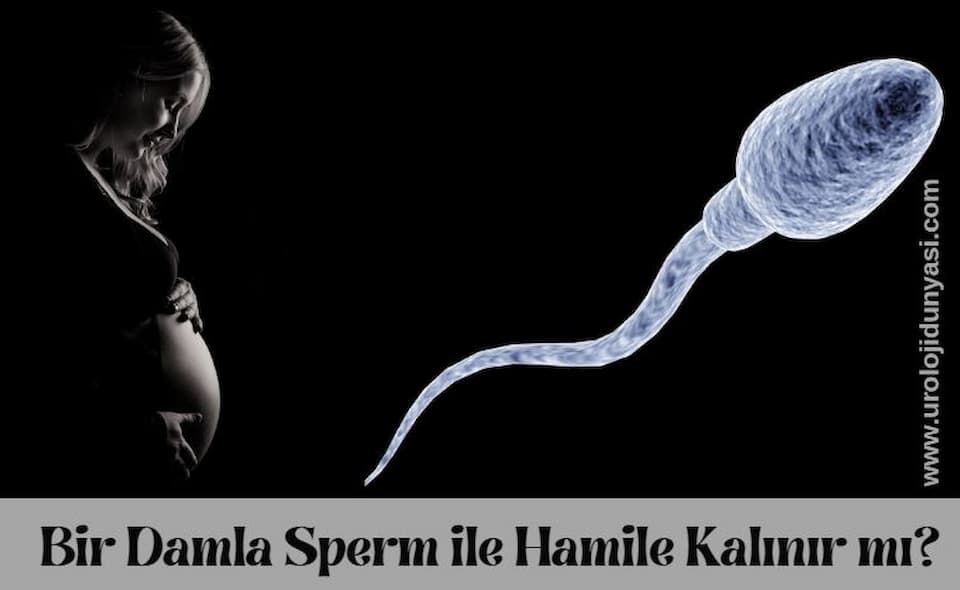 bir damla sperm ile hamile kalınır mı 1