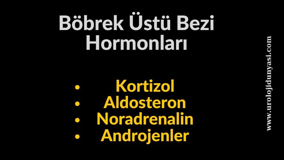 böbrek üstü bezi hormonları