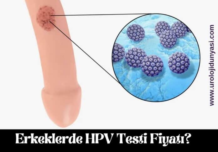 erkeklerde hpv testi