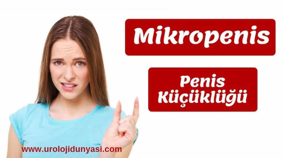 mikropenis nedir