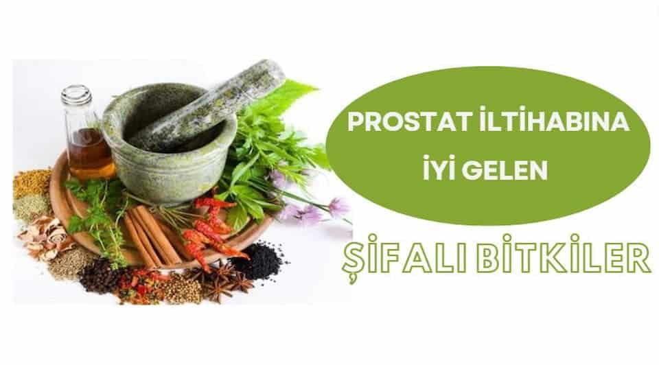 prostat iltihabına iyi gelen şifalı bitkiler