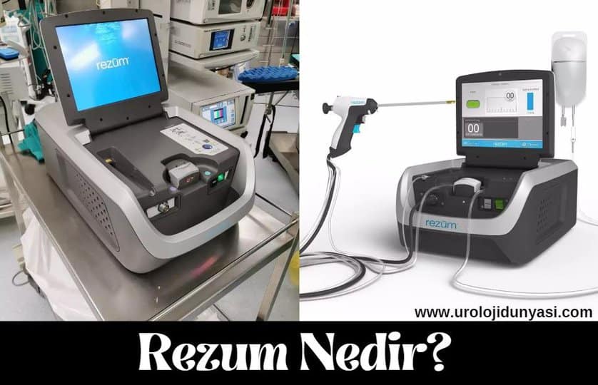 rezum nedir